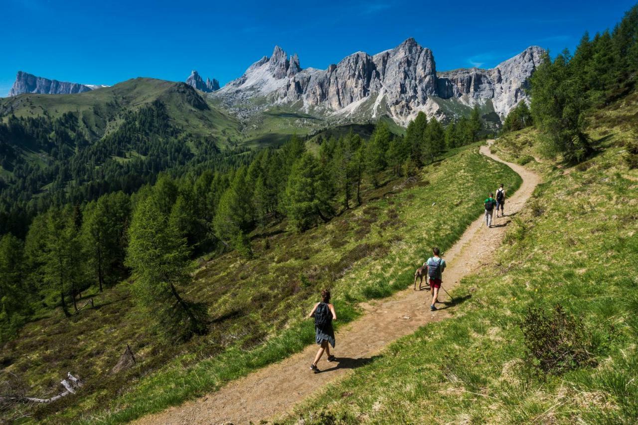 Fiori Dolomites Experience Hotel Сан-Вито-ди-Кадоре Экстерьер фото